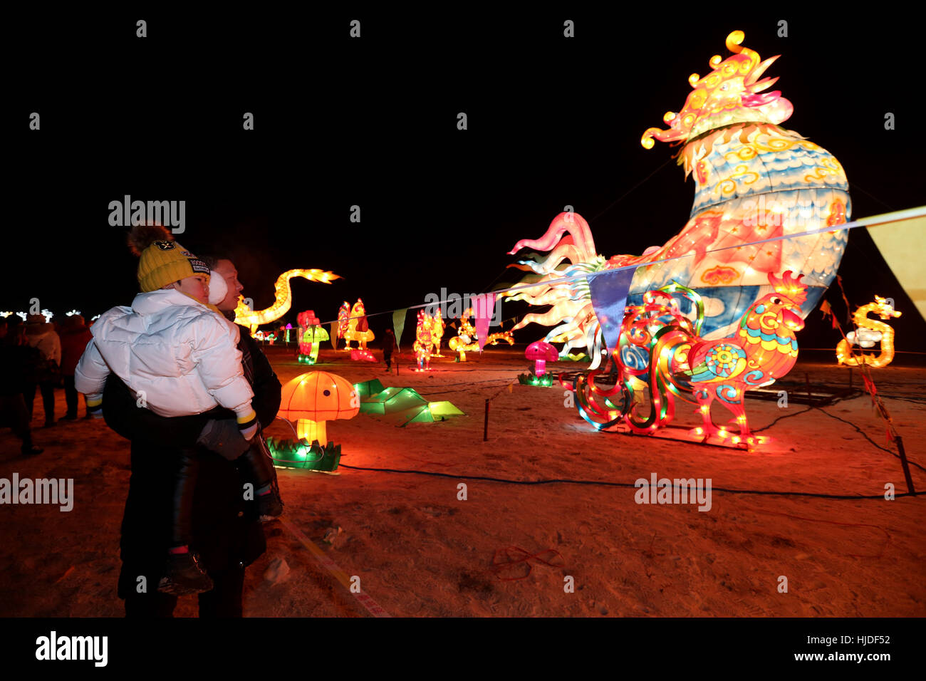 Shenyang, Shenyang, China. 24. Januar 2017. Touristen fotografieren einer Hahn Laterne auf der Laterne in Shenyang, Liaoning. Schöne Laternen können bei einer Laterne Show in Shenyang, Hauptstadt des nordöstlichen Chinas Liaoning Provinz, 24. Januar 2017, begrüßen die kommenden Frühlingsfest gesehen werden. Touristen können eine Gruppe von 10 Meter hohen Hahn Laternen an der Laterne-Show genießen. Bildnachweis: SIPA Asien/ZUMA Draht/Alamy Live-Nachrichten Stockfoto