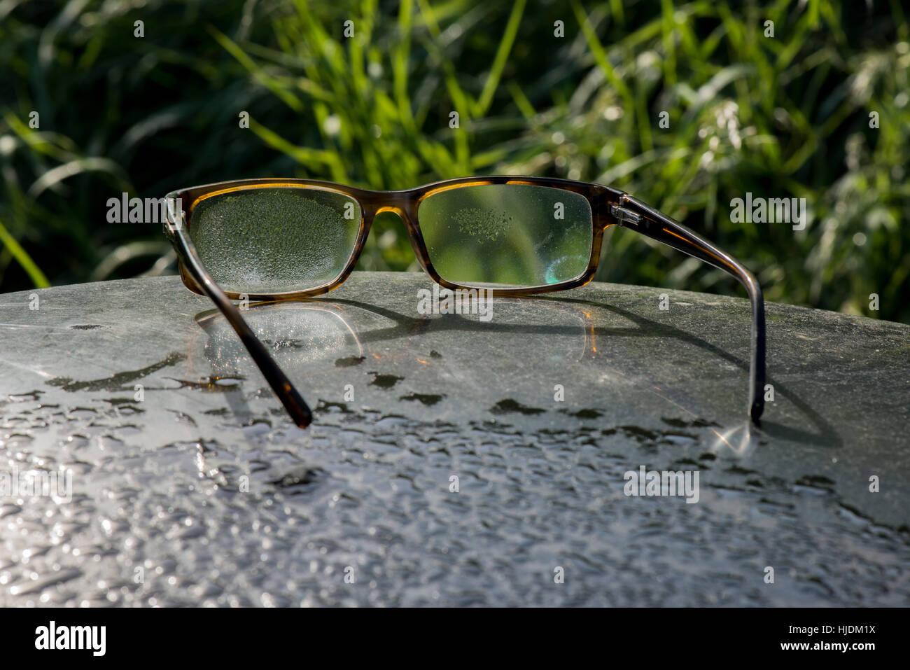 Ein paar Gläser im Morgentau bedeckt und von einem Besucher in das Naturschutzgebiet Wilstone Reservoir, Hertfordshire zurückgelassen. Stockfoto