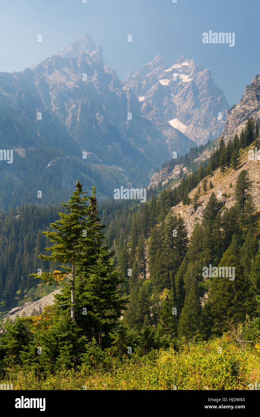 Waldbrände Rauch verdeckt die Kathedrale-Gruppe der Teton Gipfel der Teton Mountains. Grand Teton Nationalpark, Wyoming Stockfoto