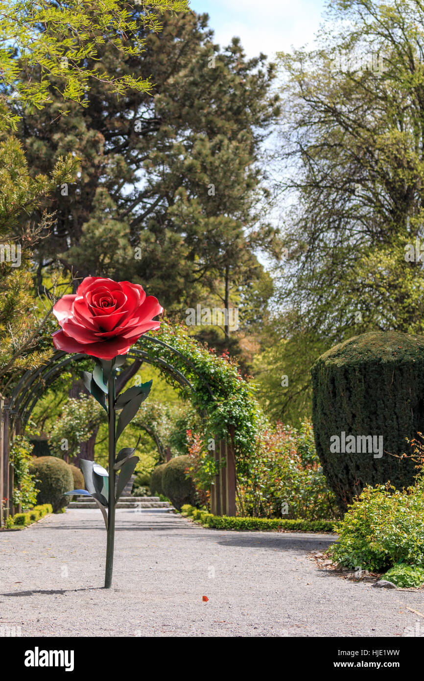 Rose Skulptur in Christchurch Botanic Garden New Zealand Stockfotografie Alamy