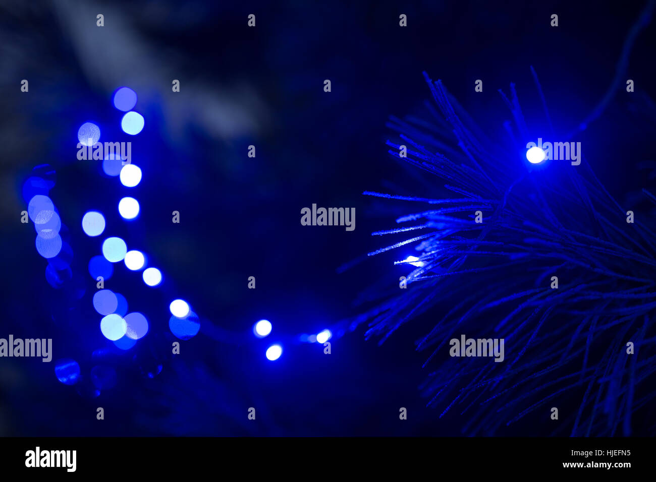 Frostigen Tannennadeln Abend Weihnachten Licht blau Stockfoto