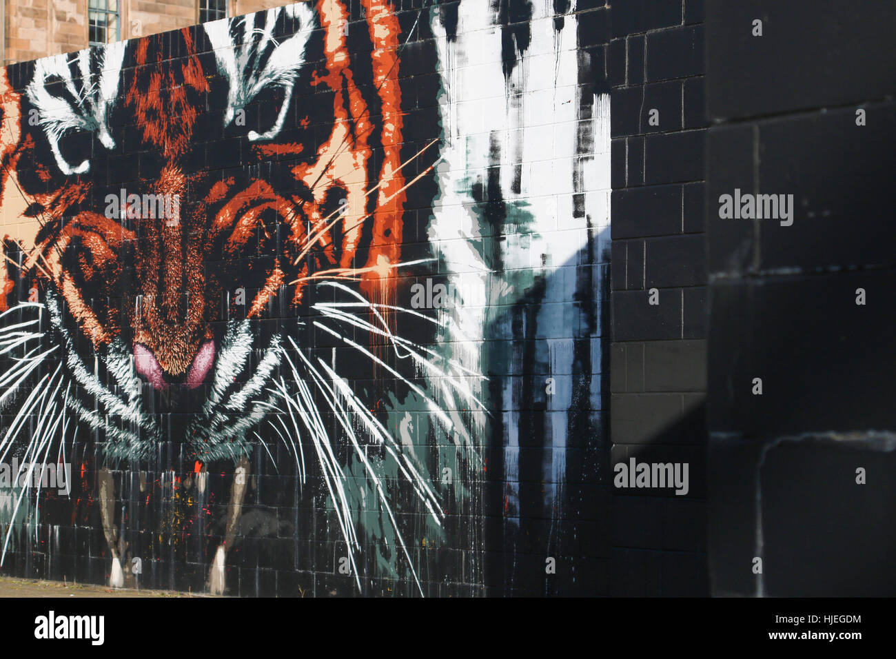 Graffiti wall Glasgow Street Art Stockfoto