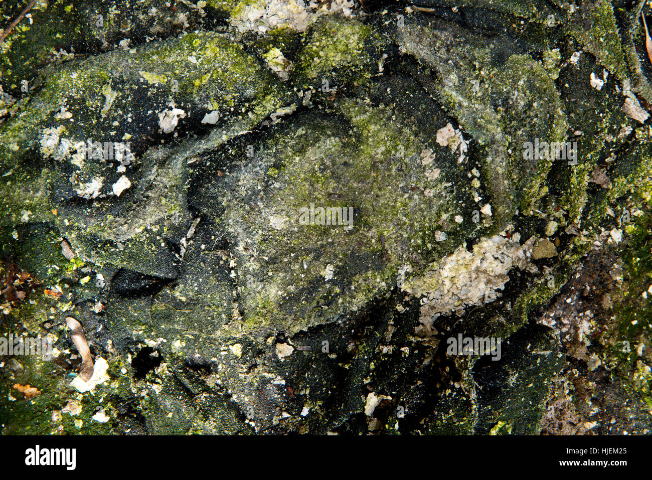 Landschaftsfotografie im Norden von England mit einer Mittelformat-Digitalkamera für Detail und Klarheit gebracht. Stockfoto