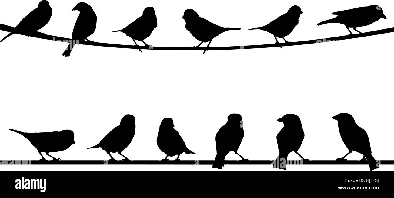 Illustration der Vögel auf Draht isoliert Stock Vektor