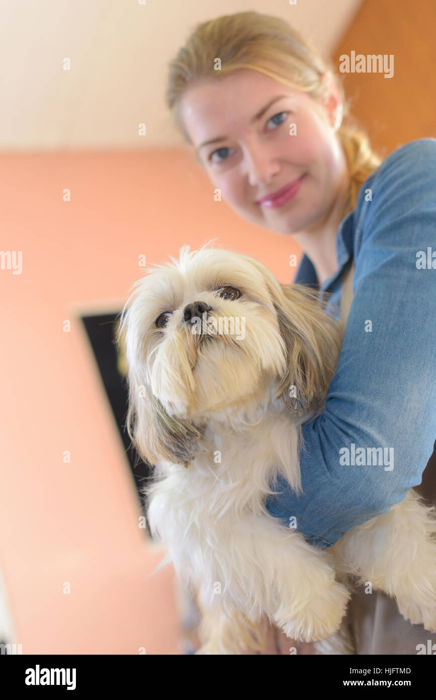 glückliche Frau und Hund in Pflege salon Stockfoto