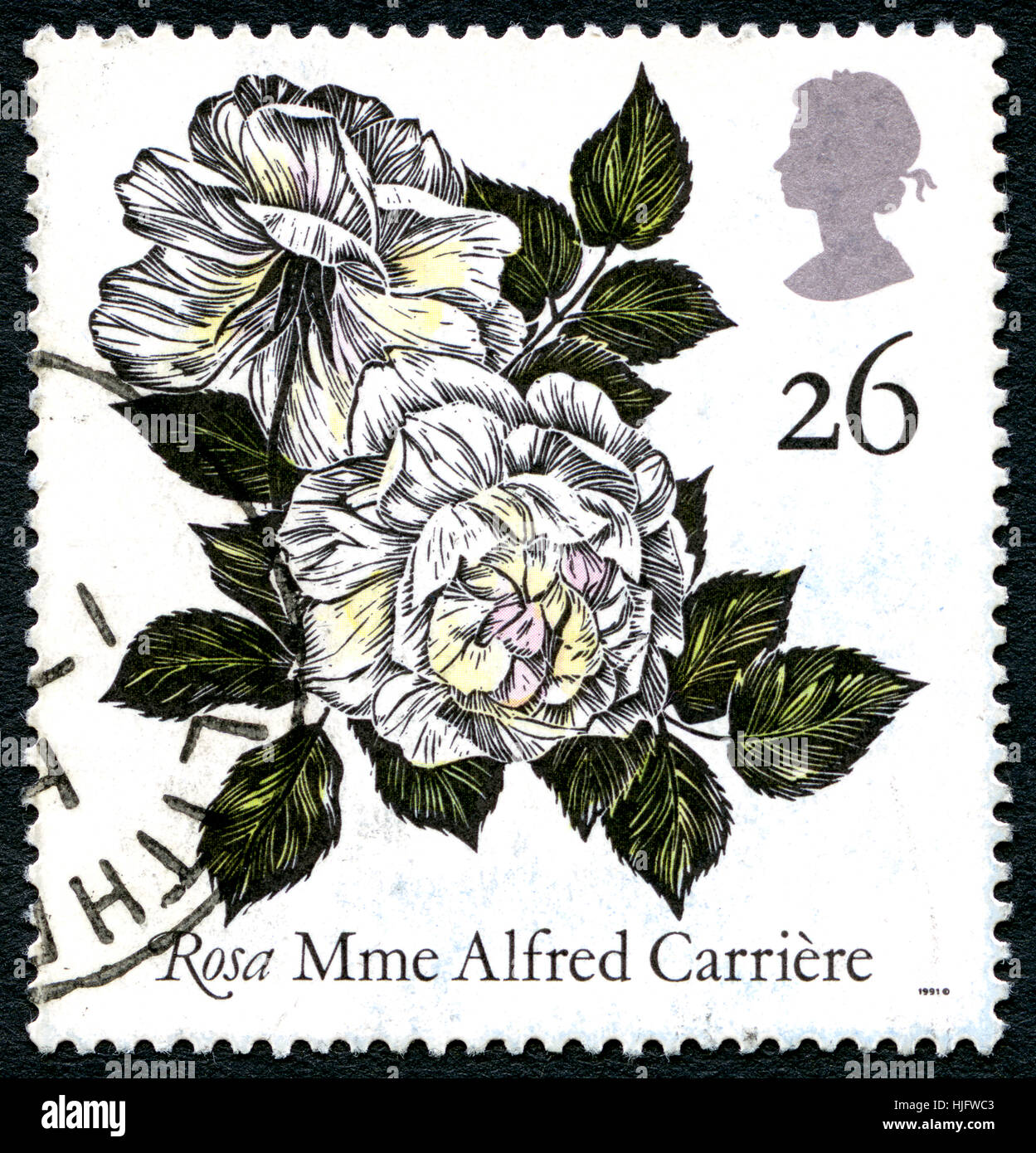 Großbritannien - ca. 1991: Eine gebrauchte Briefmarke aus dem Vereinigten Königreich, zeigt ein Beispiel für eine Rosa Madame Alfred Carrière. Stockfoto