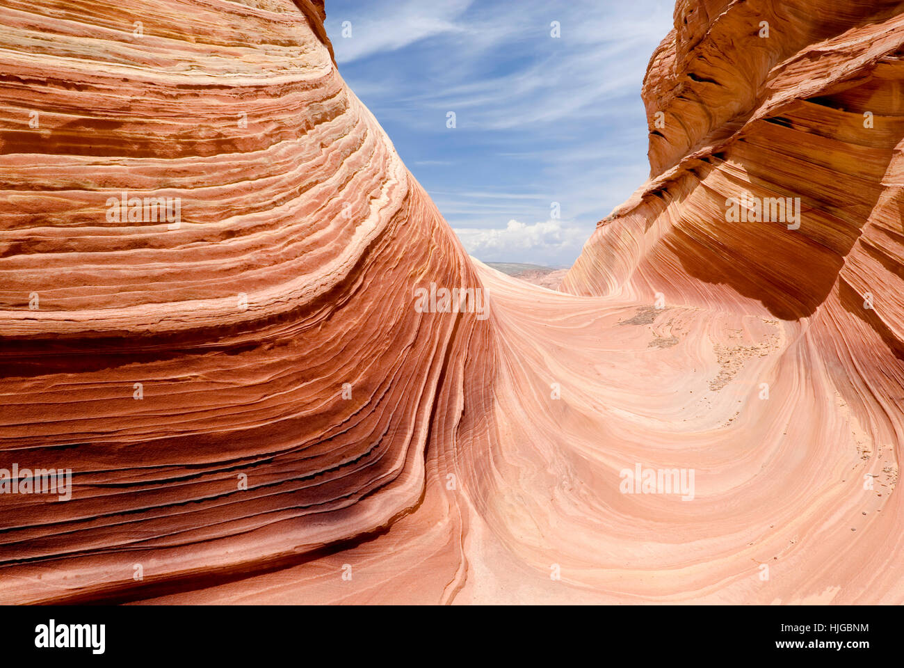 Die Welle, North Coyote Buttes, Paria Canyon-Vermilion Cliffs Wilderness, Arizona, USA Stockfoto