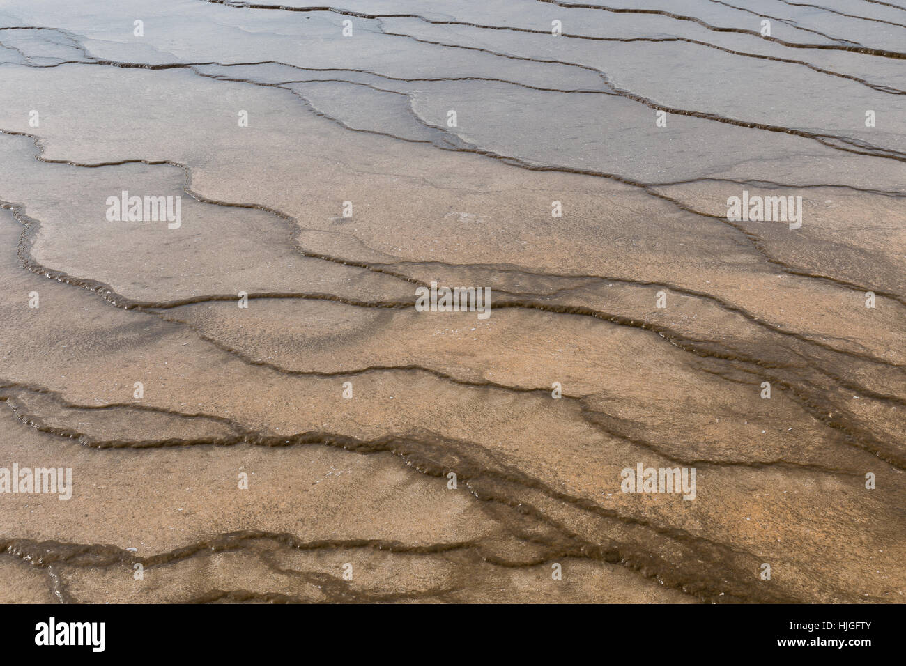 Bakterien in der Nähe von Grand Bildobjekte Spring im Yellowstone-Nationalpark, Wyoming, USA. Stockfoto