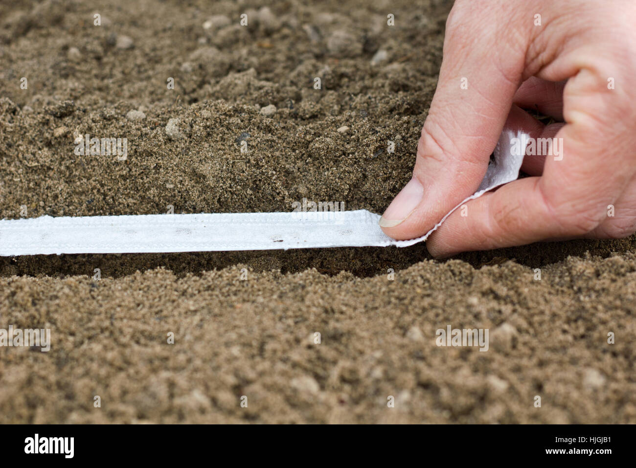 Hand, Hände, Frühling, Zeile, Sperma, Gärtner, Bett, Gartenarbeit, Aussaat, Saatgut, Sau, Stockfoto