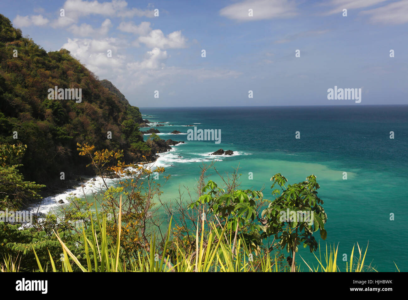 Urwald, Küste, Karibik, Meer, Ozean, Wasser, Salzwasser, Urwald, Stockfoto