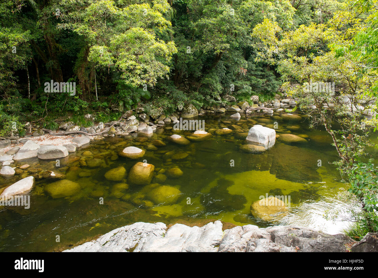 Mossman Gorge, Queensland Australien Stockfoto