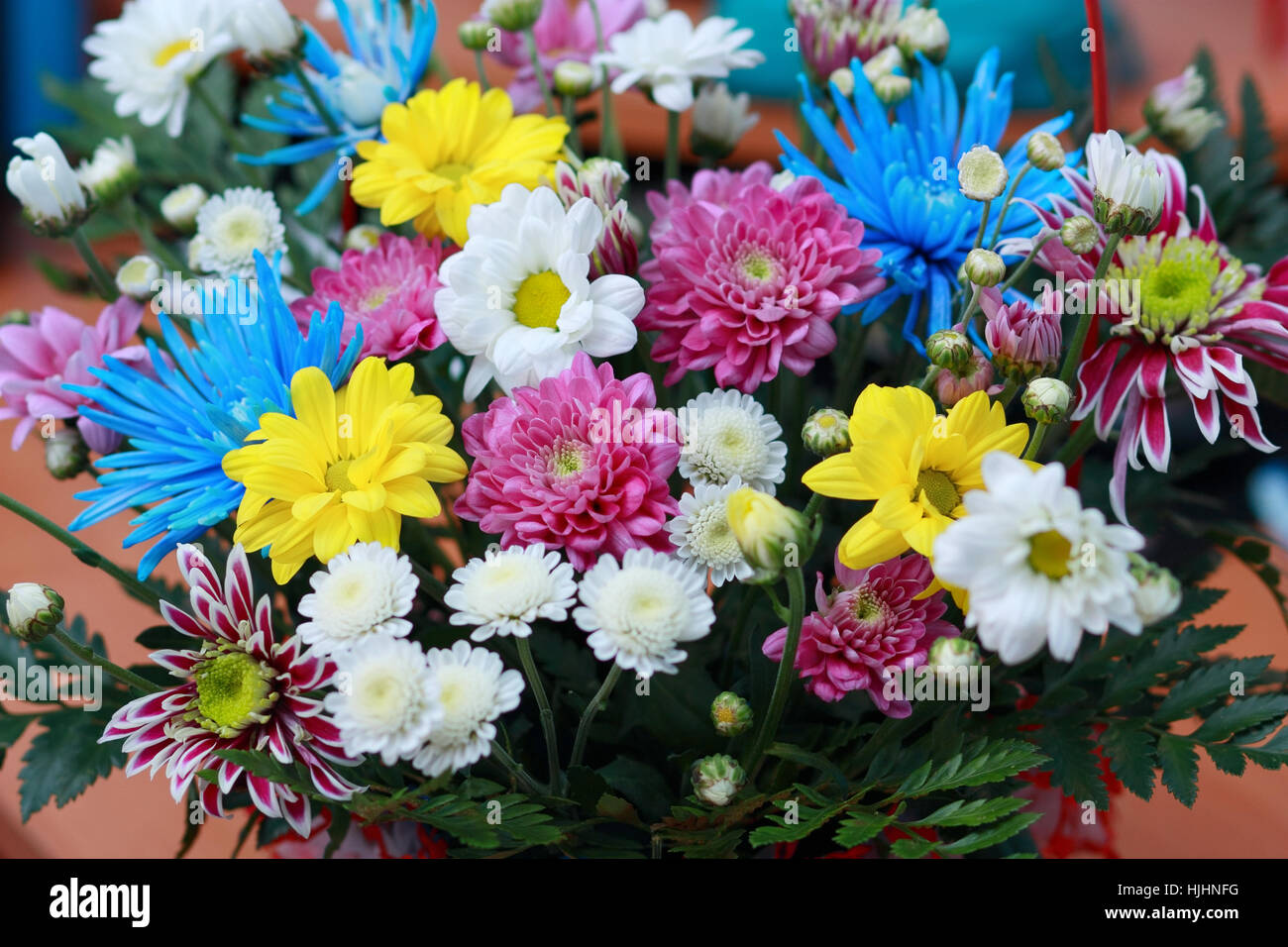 Bouquet von Blumen-Nahaufnahme Stockfoto
