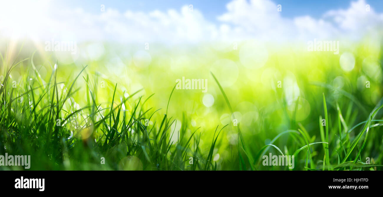 Kunst abstrakte Frühling Hintergrund oder Sommer Hintergrund mit frischen Rasen Stockfoto