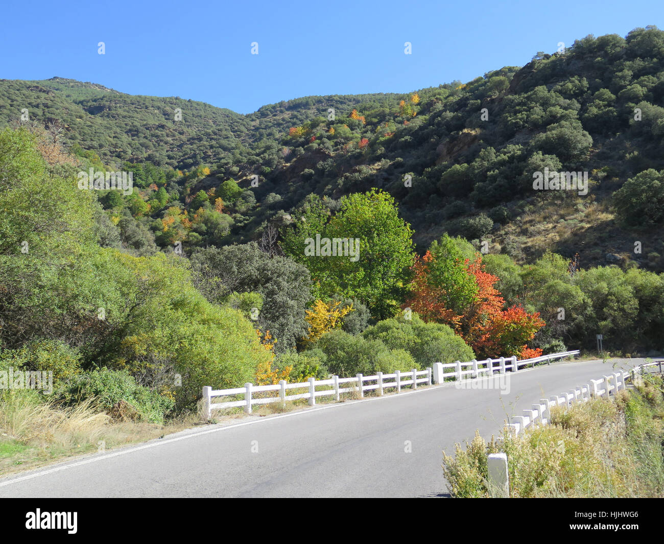 Bäume im Herbstfarben in Alpujarra Region, Spanien Stockfoto