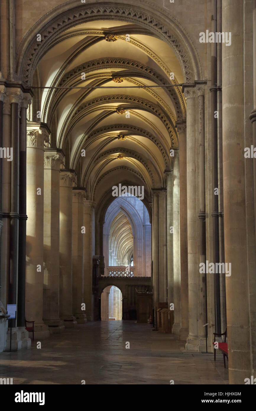 gewölbte Decke im Inneren der Kathedrale von Canterbury Kent Stockfoto