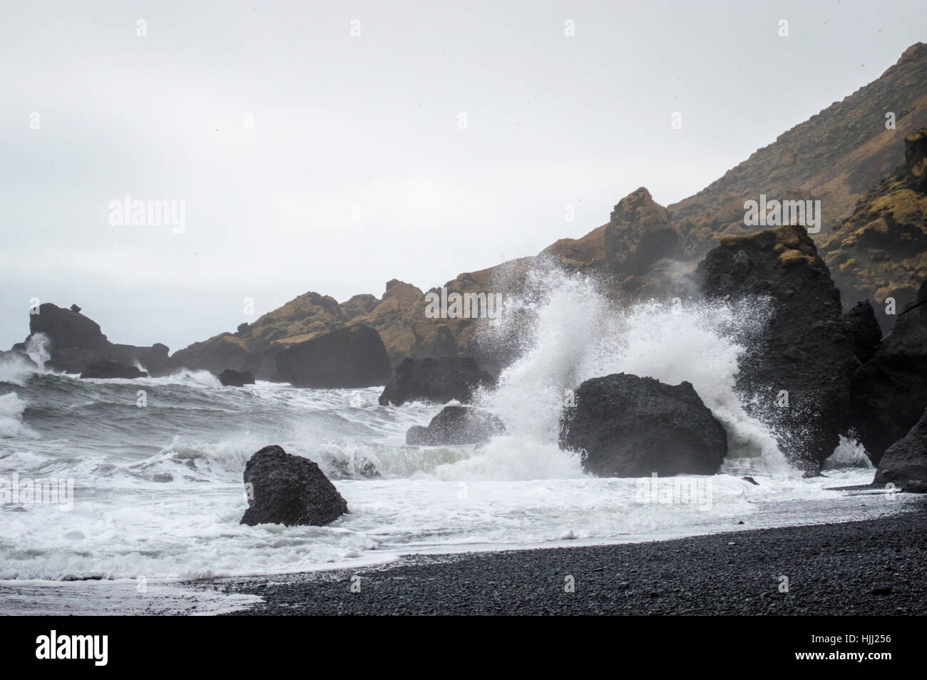 Schwarzen Sand Strand, Island Stockfoto