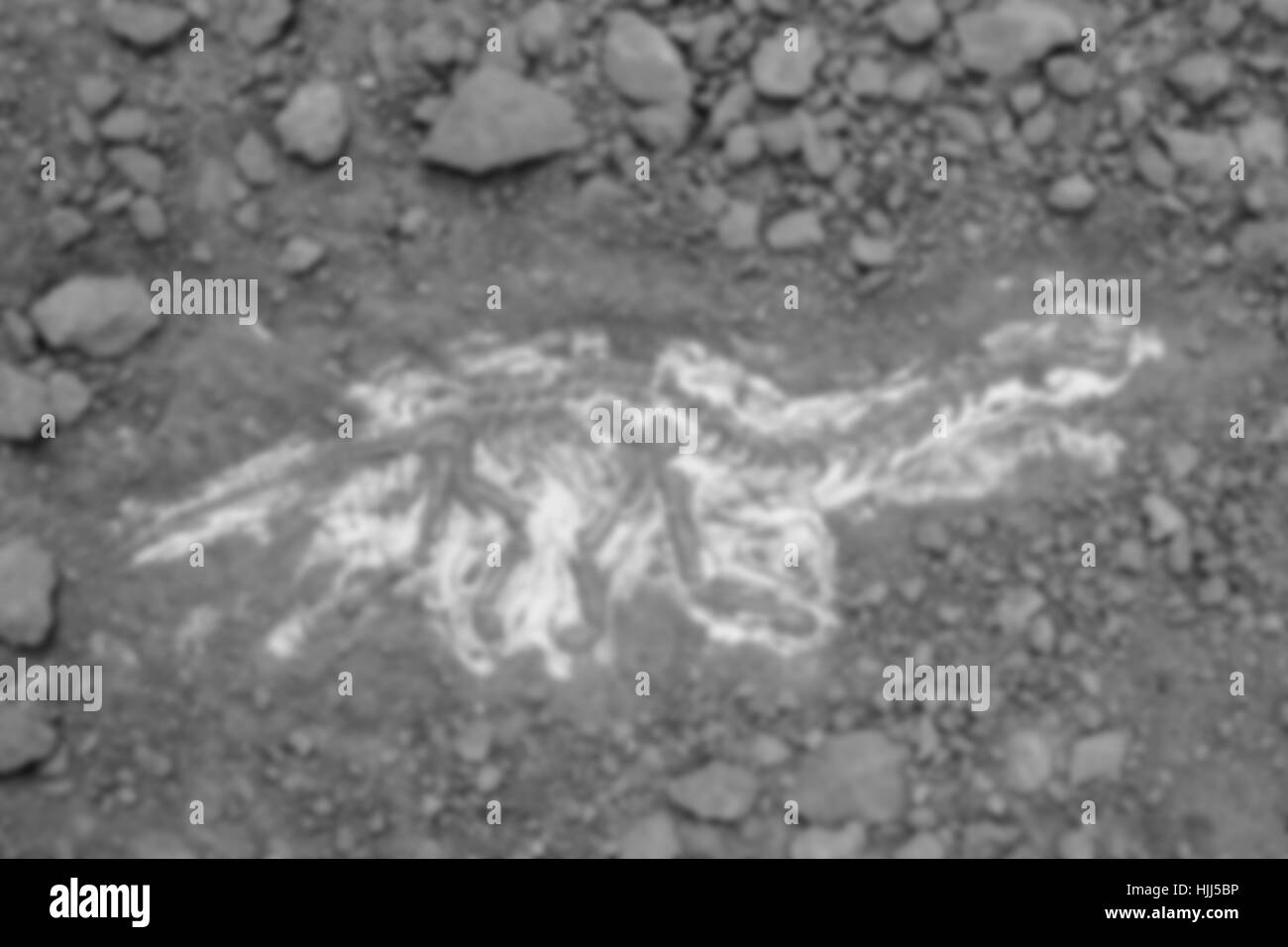 Verschwommen, des Skeletts und archäologische Werkzeuge. Training für Dig Fossil. Schwarz / weiß Filter verwendet für Grauton. Stockfoto