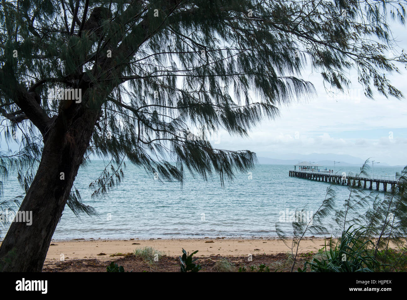 Die Picnic Bay Jetty, magnetische Island-Queensland-Australien Stockfoto