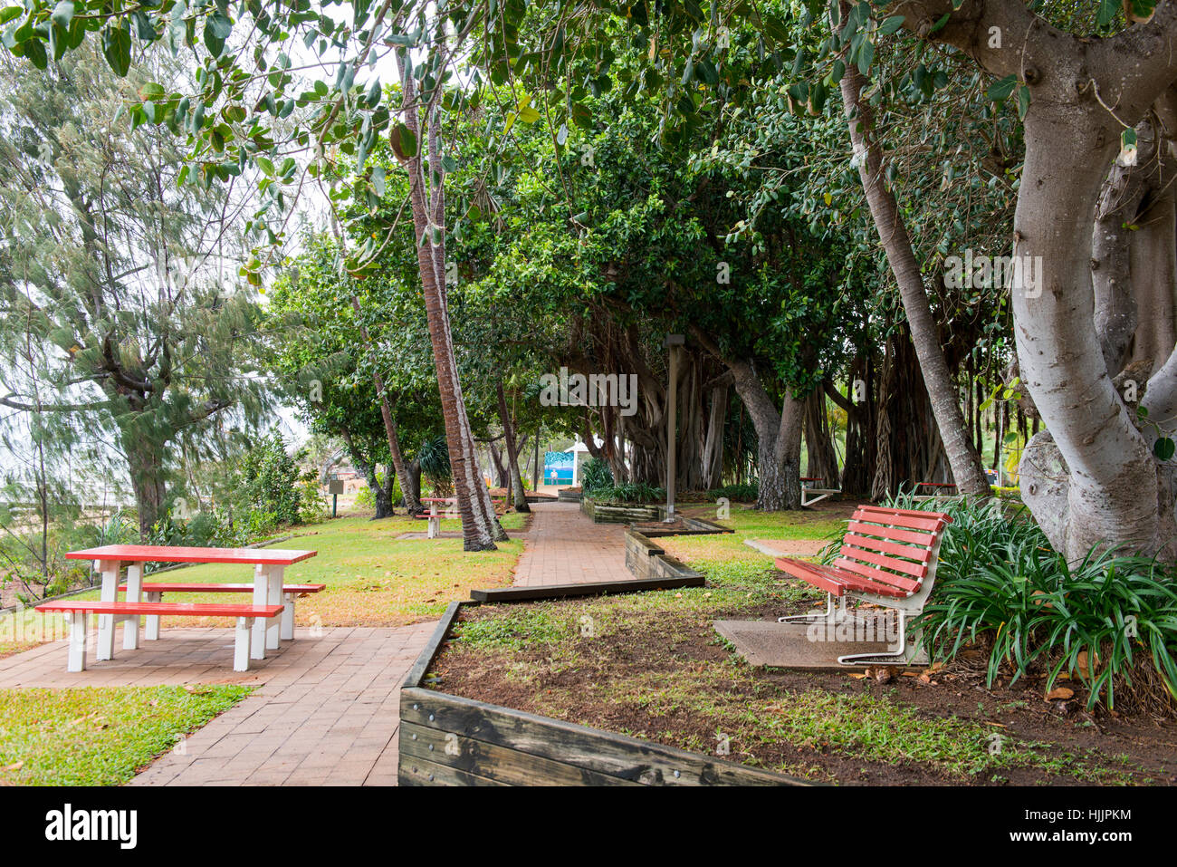 Park auf der Picnic Bay Vorland, Magnetic Island-Queensland-Australien Stockfoto