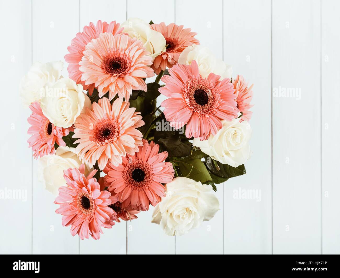 Rosa Gerbera Daisy Blumen und weiße Rosen Stockfoto