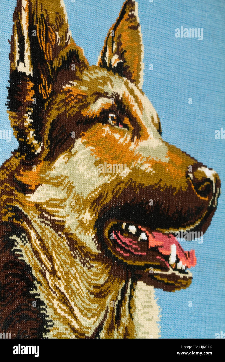 schließen, Farbe, Tier, Wolle, Hund, Hobby, Material, Drogen, Betäubungsmittel, süchtig Stockfoto