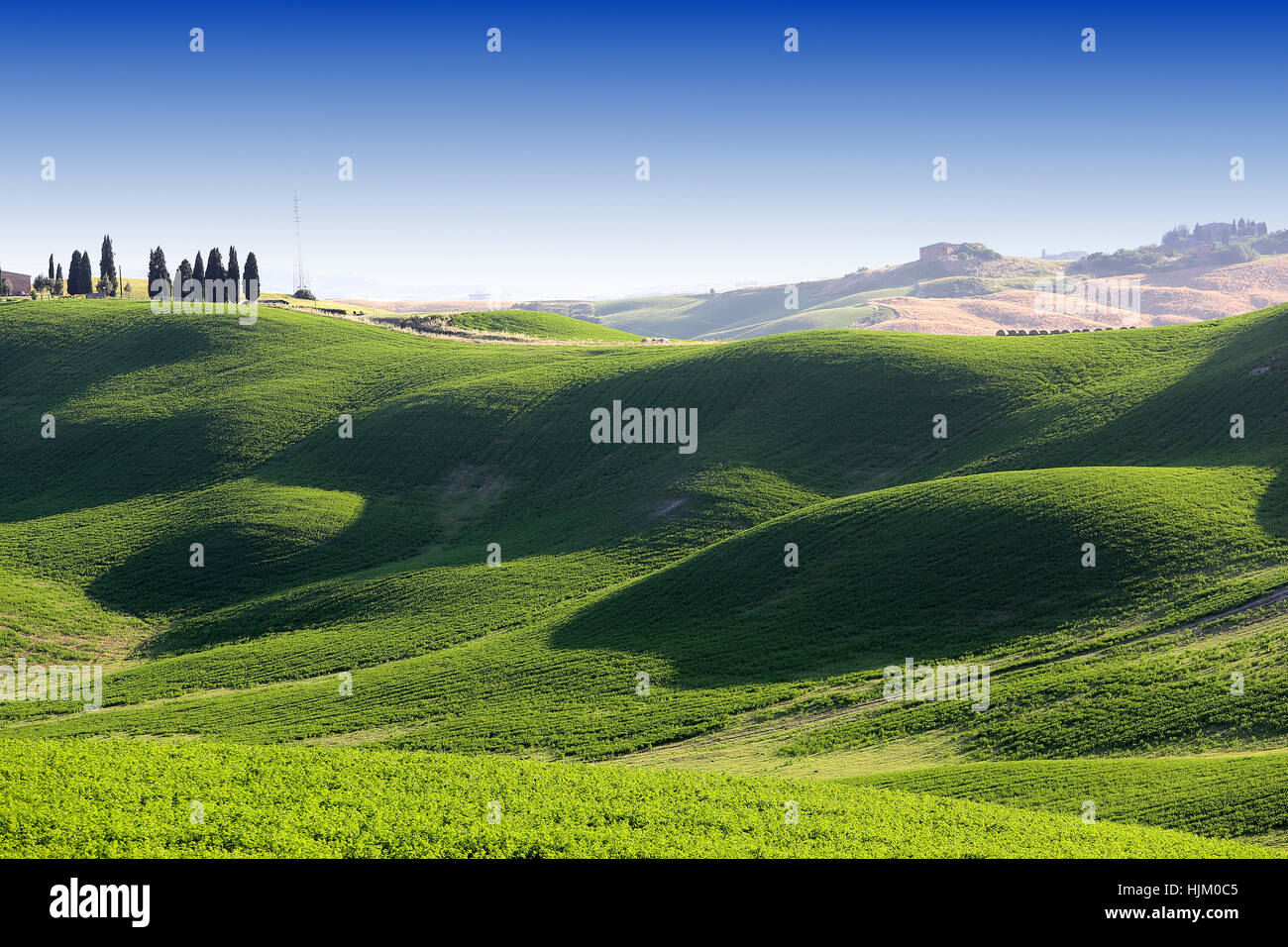 Malerische Landschaft der Crete Senesi, Siena, Toskana, Italien Stockfoto