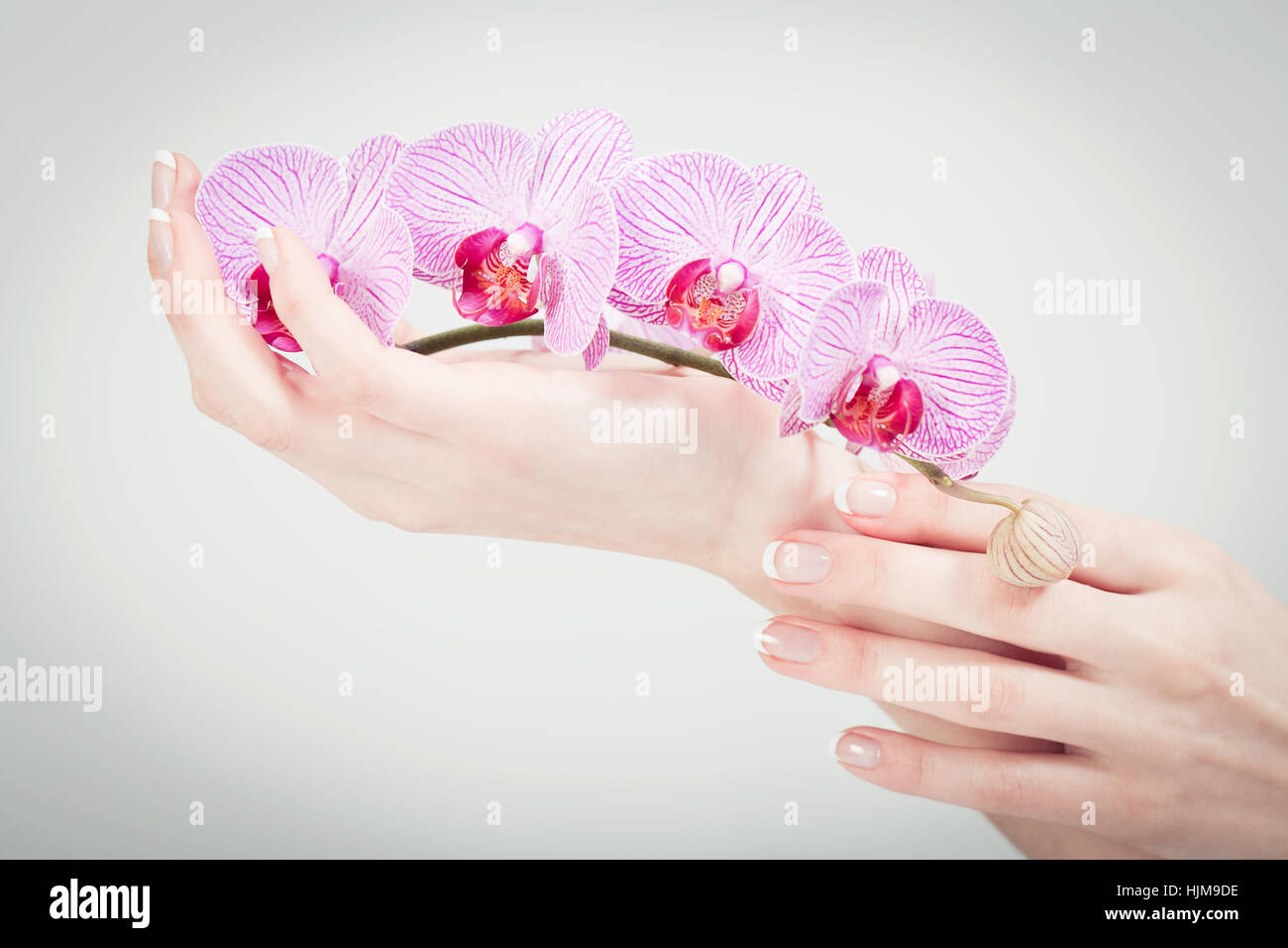 schöne weibliche feminine Hände nach einer Maniküre mit orchi Stockfoto
