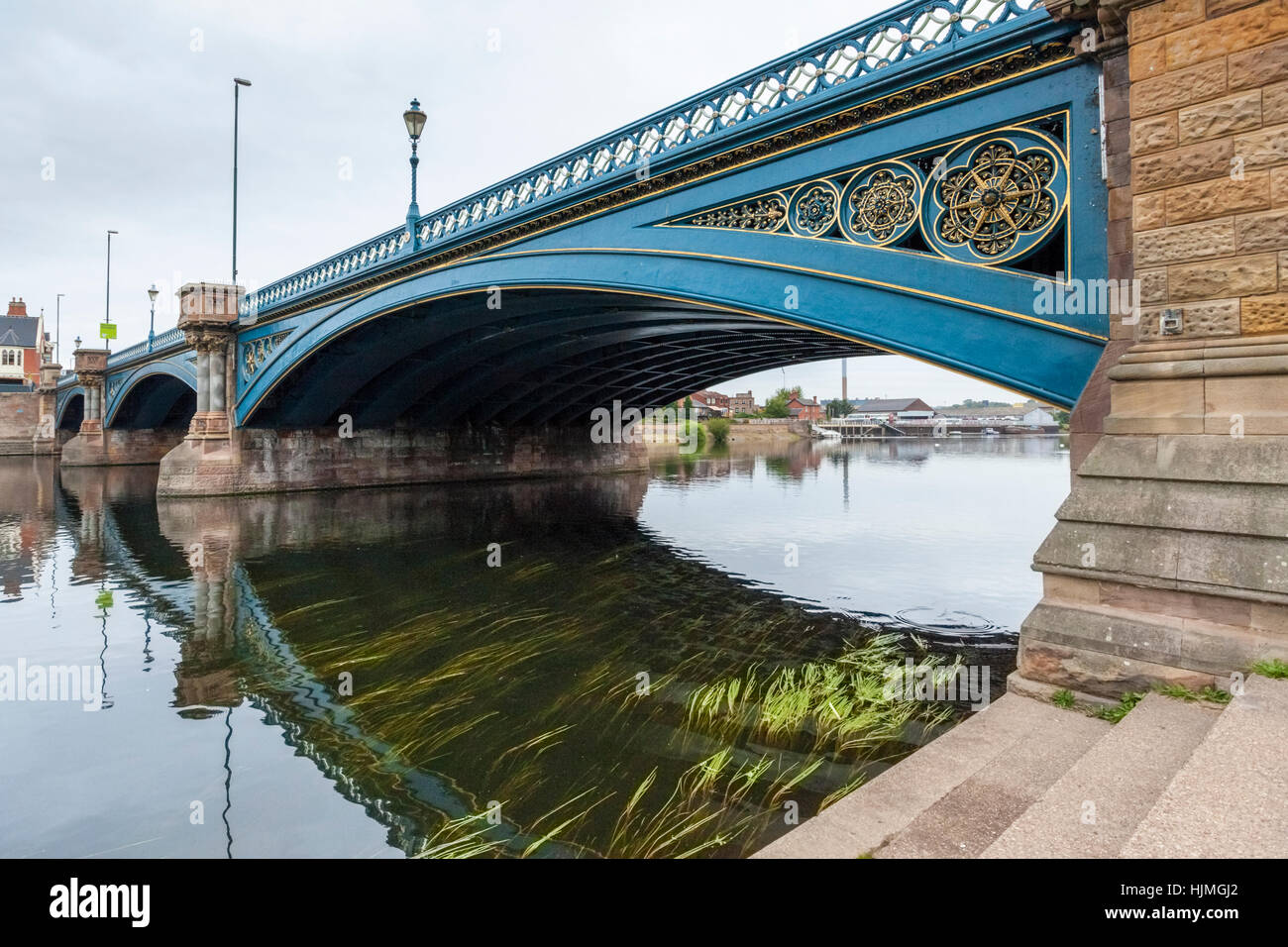 Große Menge von Schilf in den Fluss Trent an der Trent Brücke, Nottingham, England, UK wachsende Stockfoto