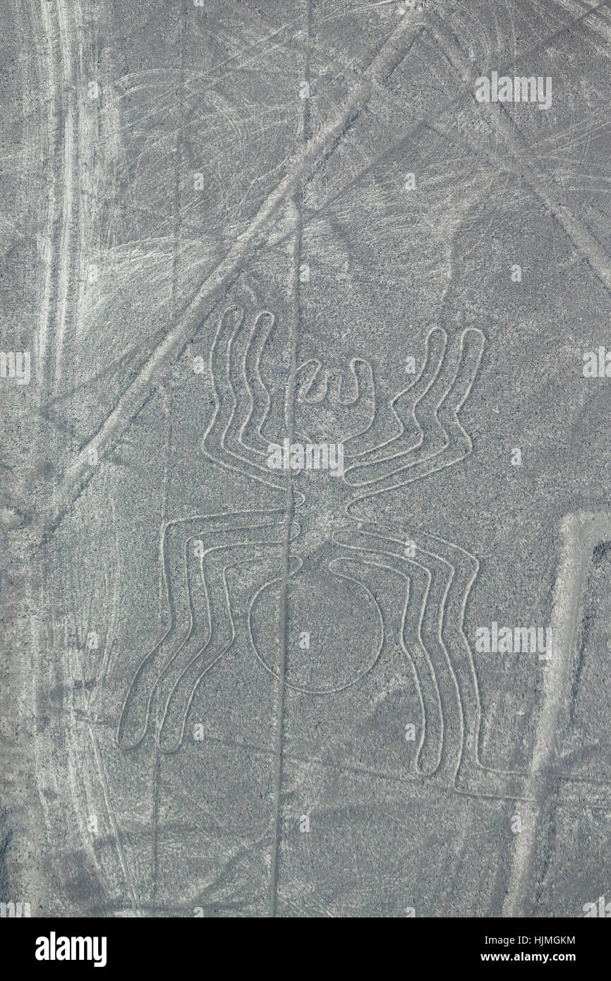 Peru, Nasca, Luftaufnahme der Geoglyphen von Nasca, die Spinne Stockfoto