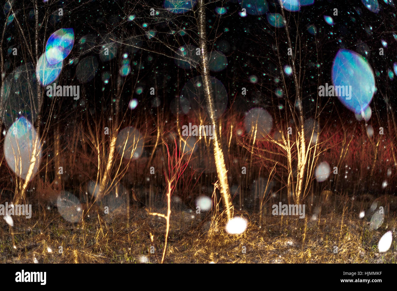 Künstlerische abstrakte Bilder in einer verschneiten Nacht in der Nähe von Sitka, Alaska, USA. Stockfoto
