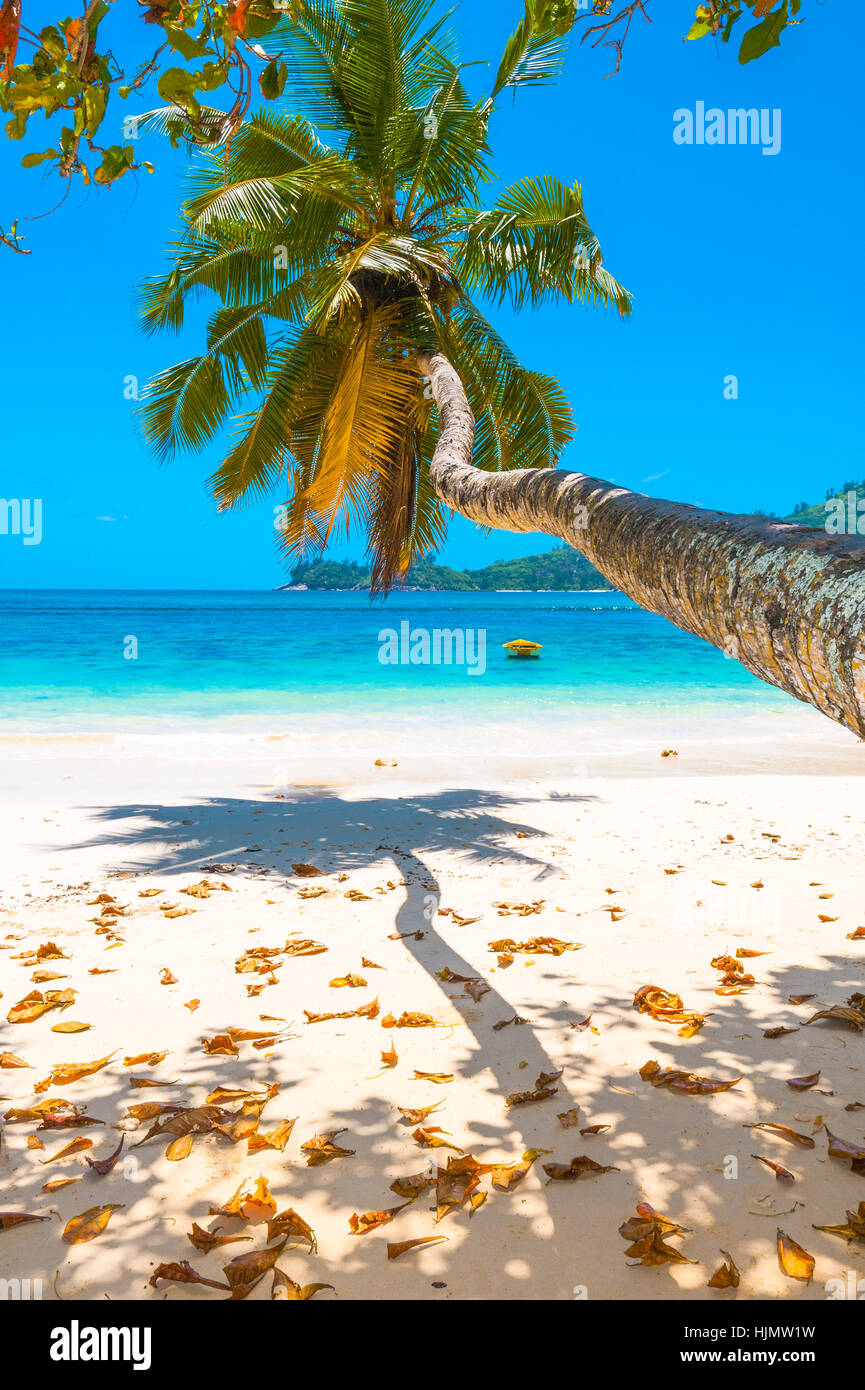 Strand der Seychellen-Insel Mahé, Bucht Baie Lazare Stockfoto