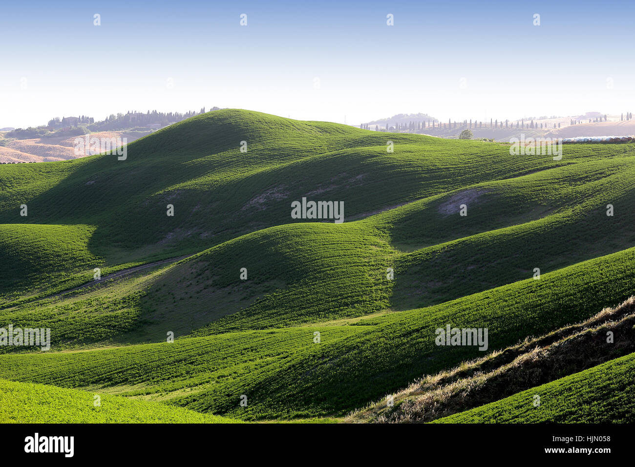 Malerische Landschaft der Crete Senesi, Siena, Toskana, Italien Stockfoto