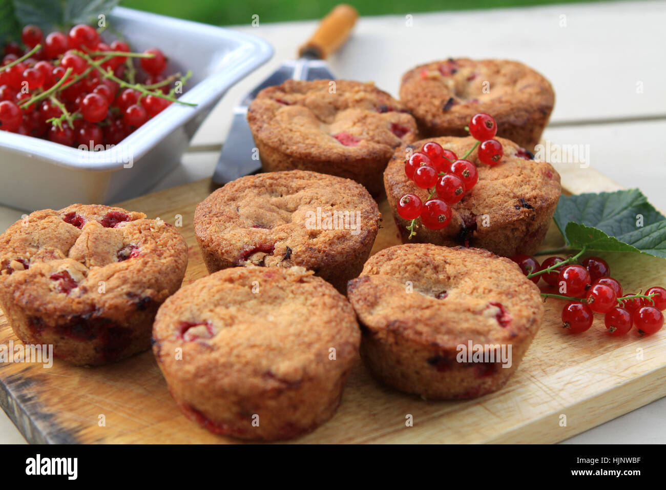 Muffins mit Johannisbeeren Stockfoto