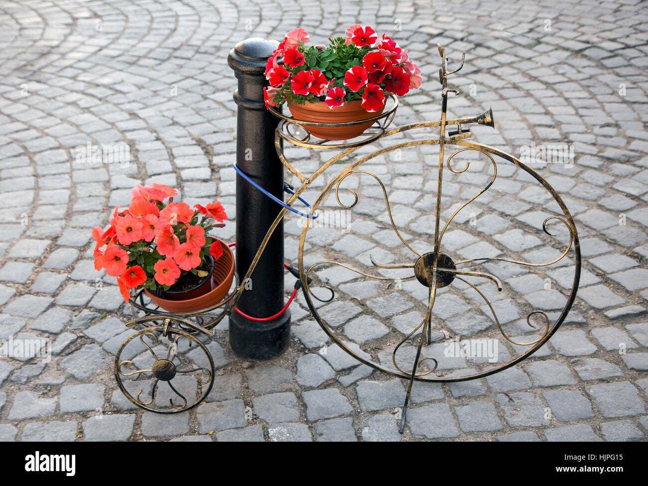 Blume, Blumen, Pflanzen, Vintage, Dekoration, blühen, Motorrad, Fahrrad, Cycle, Stockfoto