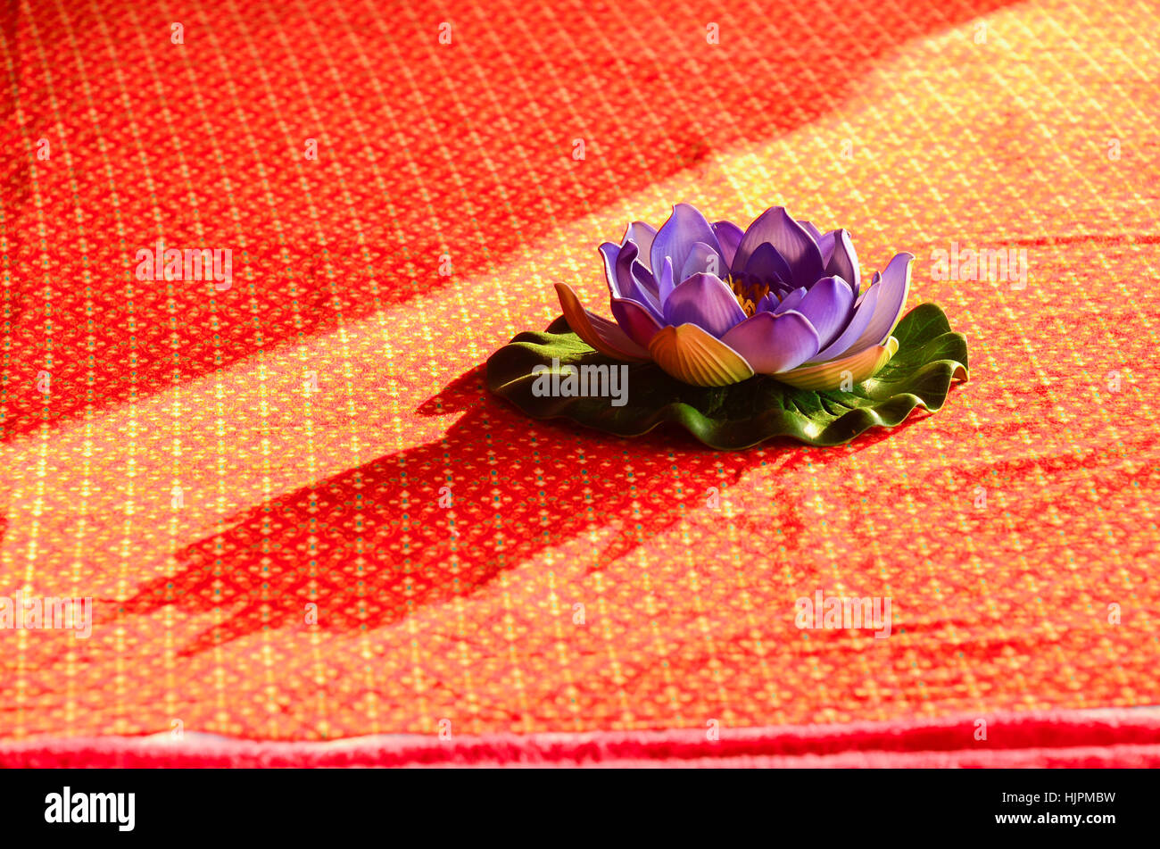 Eine künstliche Wasser isoliert Lilly auf Hintergrund Stockfoto