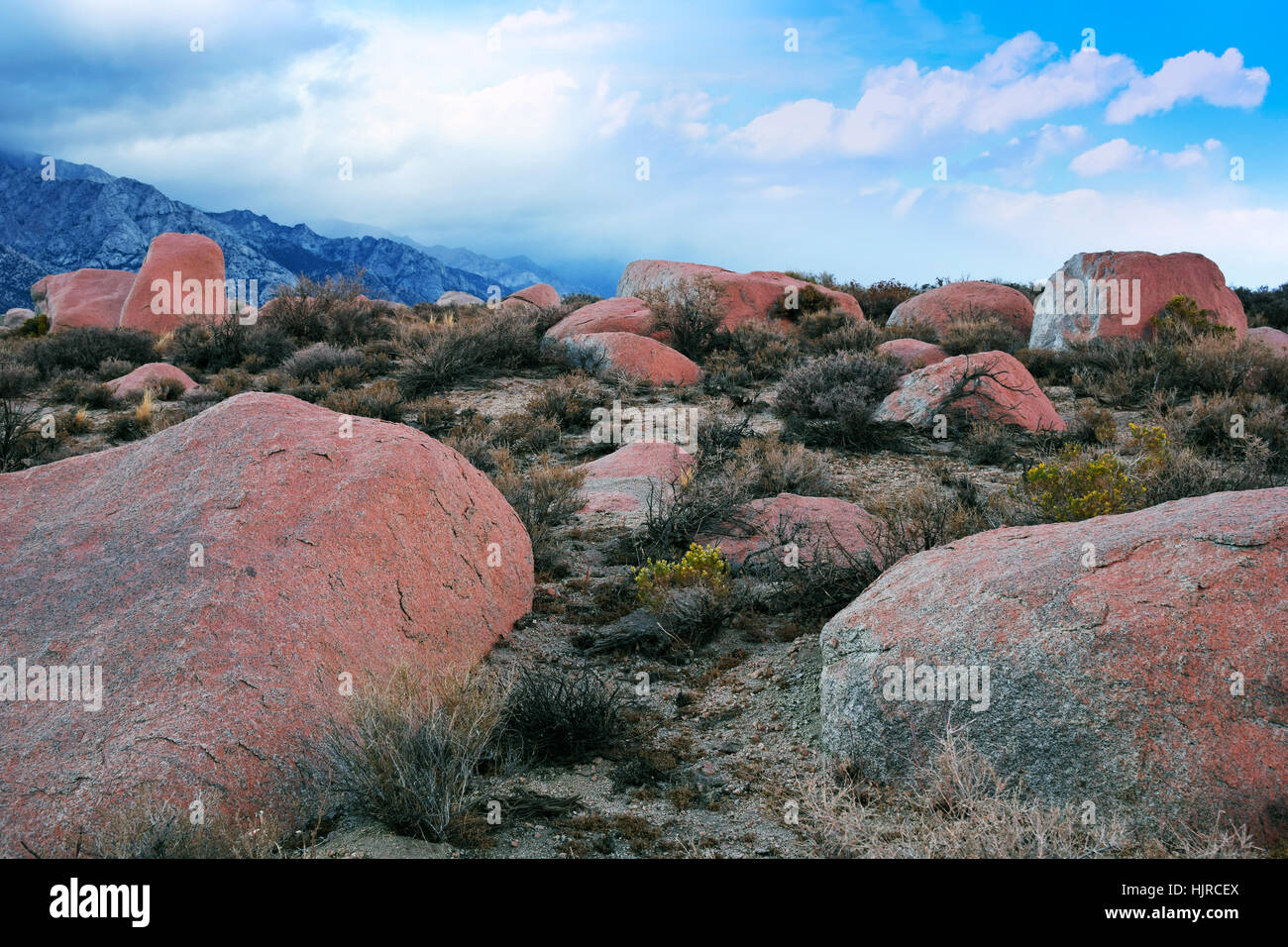 Die Berge der Sierra Nevada in Alabama Hills, nahe der Stadt von Lone Pine, Kalifornien, USA. Felsen im Vordergrund bedeckt mit roten Mikro-Organismen. Stockfoto