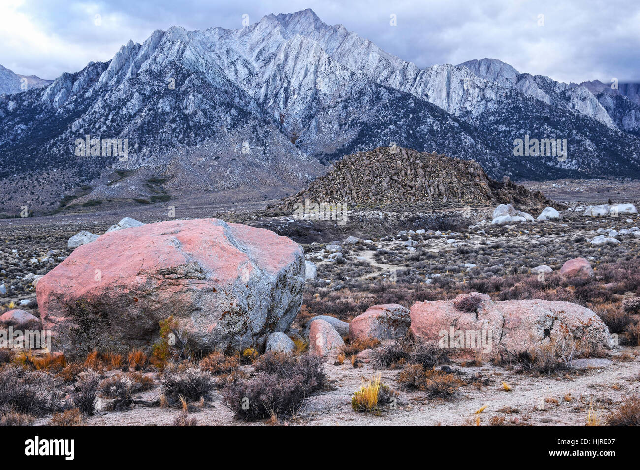 Die Berge der Sierra Nevada in Alabama Hills, nahe der Stadt von Lone Pine, Kalifornien, USA. Felsen im Vordergrund bedeckt mit roten Mikro-Organismen. Stockfoto
