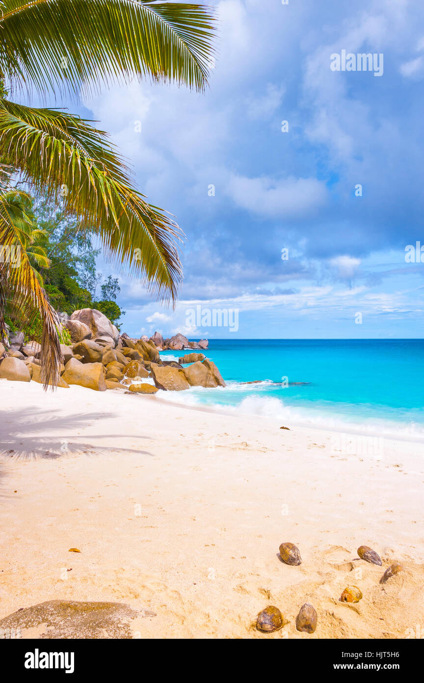 Strand der Seychellen-Insel Praslin, Strand Anse Georgette Stockfoto