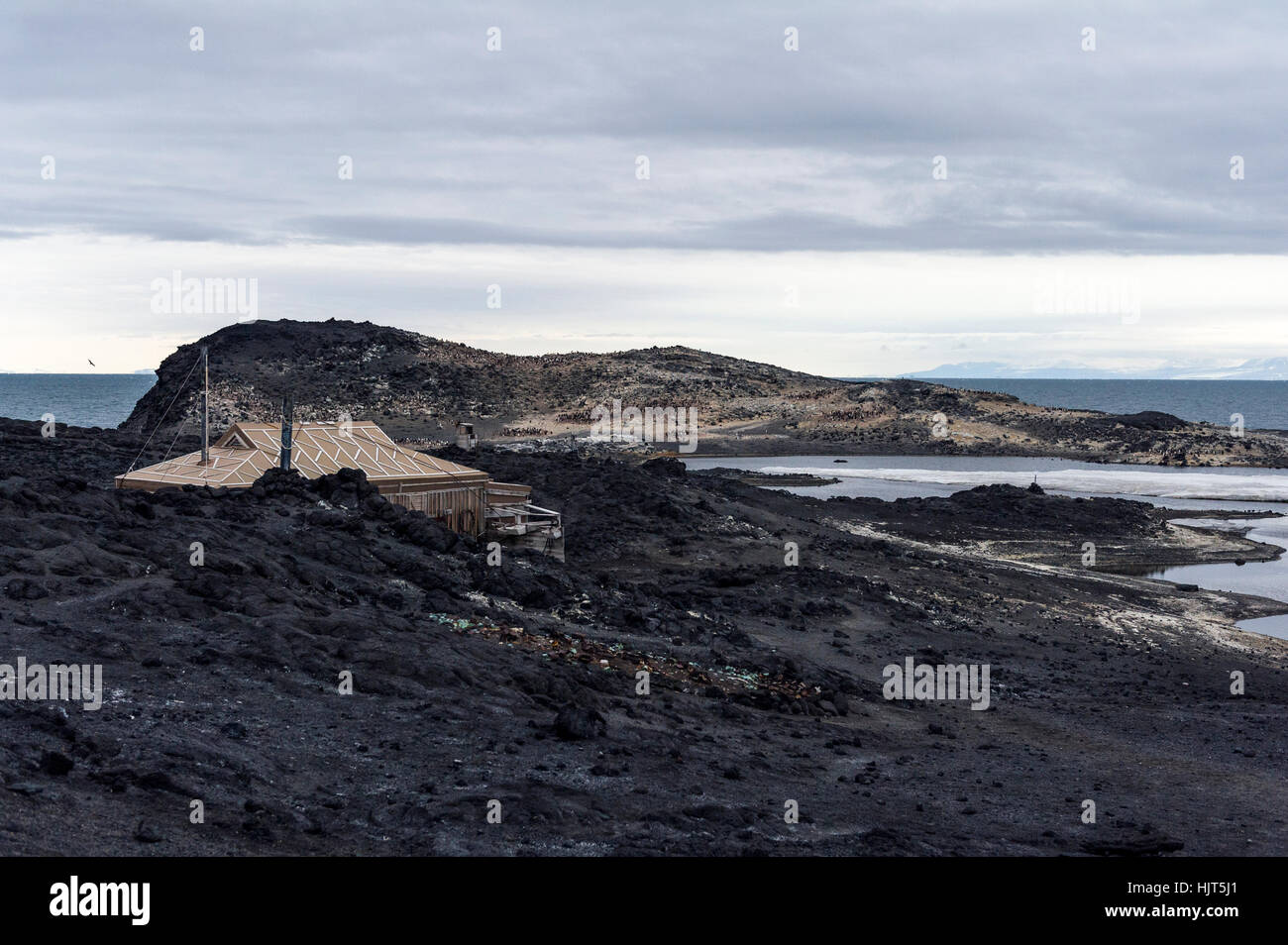 Die Hütte von Antarctic Explorer Ernest Shackleton in den Schatten gestellt von einer rauen und kargen Landschaft gebaut. Stockfoto