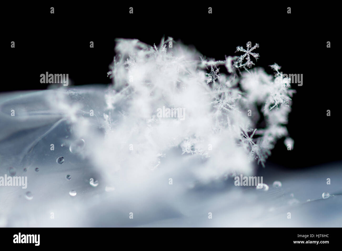 Ein Cluster von Schneeflocken sammeln auf einer Plastiktüte in der Antarktis. Stockfoto