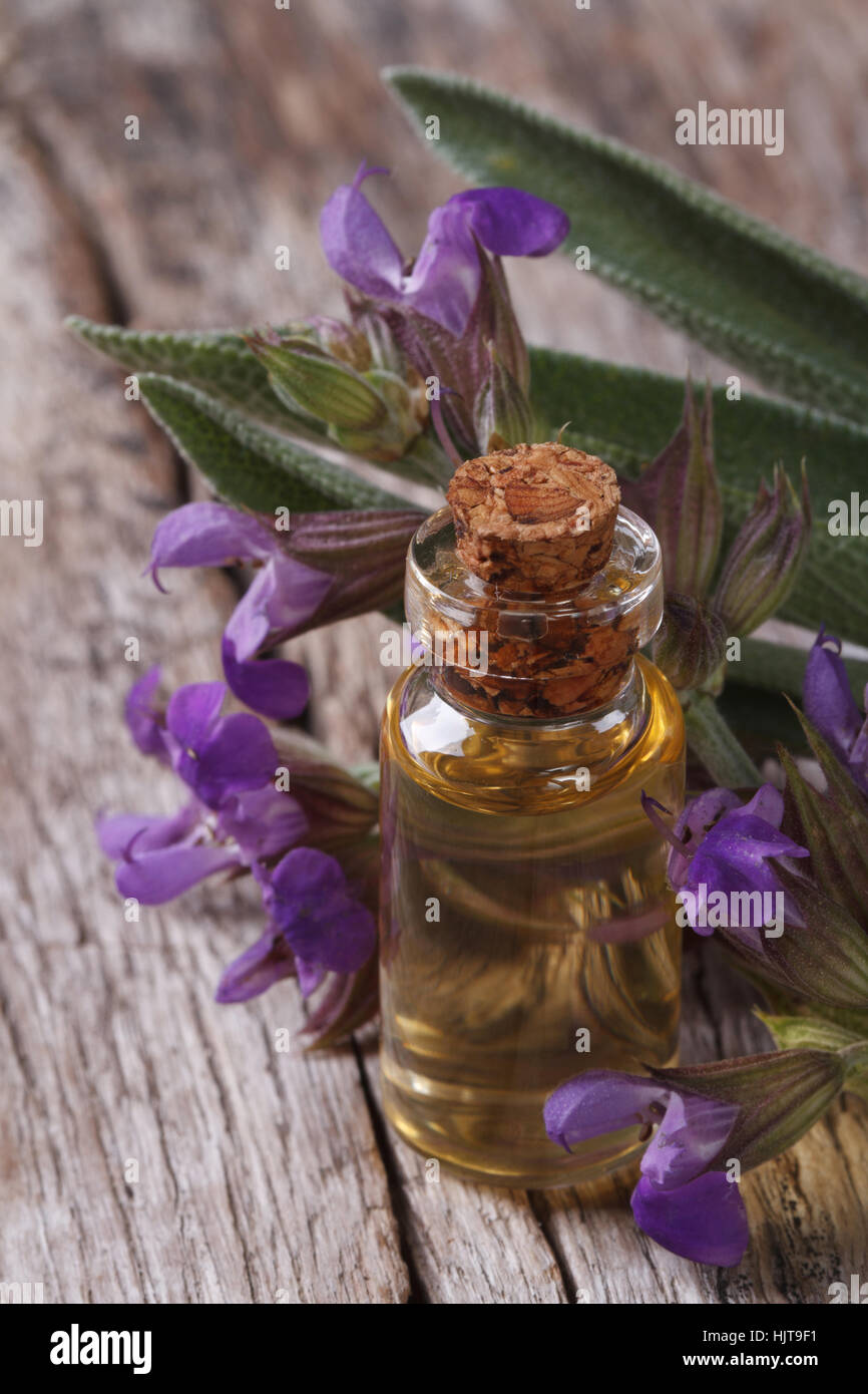 Salbeiöl in eine Glasflasche und Blumen, Blätter Nahaufnahme auf alten hölzernen Hintergrund vertikale Stockfoto