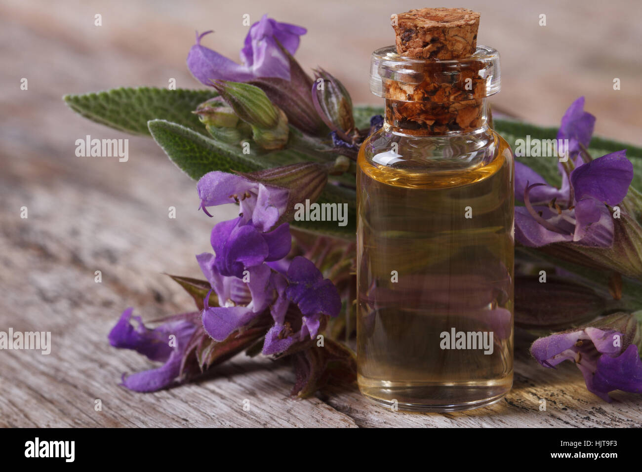 Blühende Salbei und duftenden Öl close-up auf dem Tisch. horizontale Stockfoto