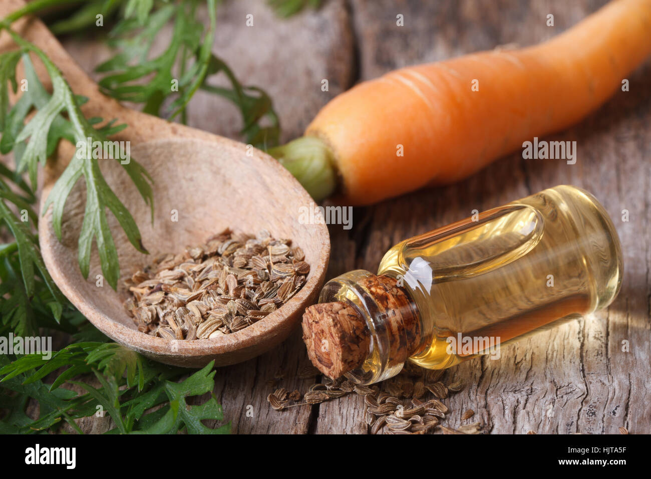Das ätherische Öl der Karottensamen in ein Glas Flasche Closeup horizontale. Ansicht von oben Stockfoto
