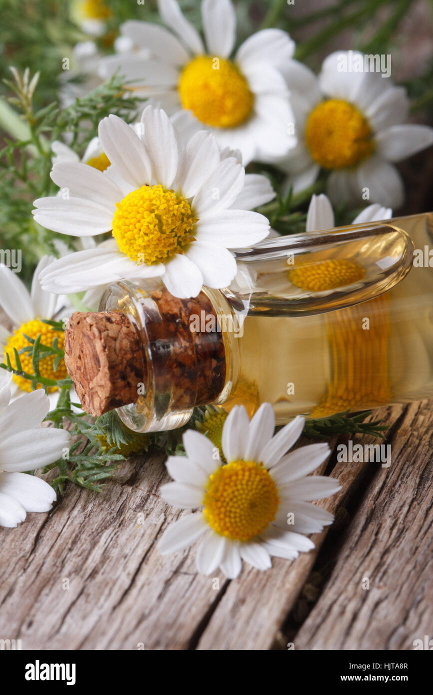 kosmetisches Öl in eine Glasflasche auf dem Hintergrund der Kamille Blumen Makro auf Holztisch vertikale Stockfoto