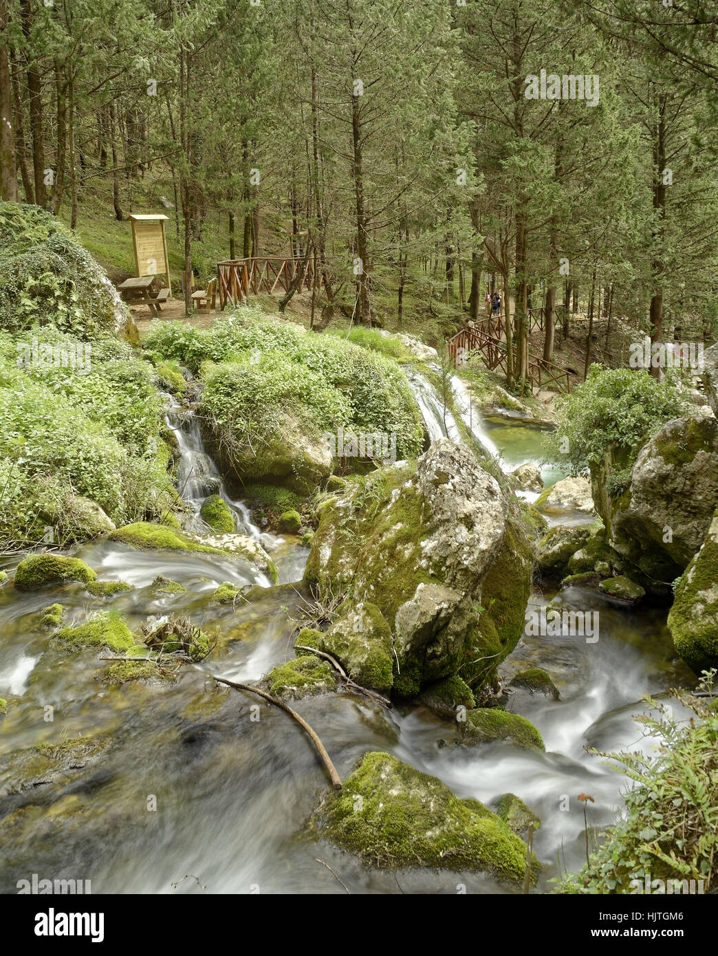 Fontegreca Wald mit Bach und zahlreichen Wasserfällen befindet sich in den Matese-Nationalpark in der Provinz Caserta in Kampanien Stockfoto