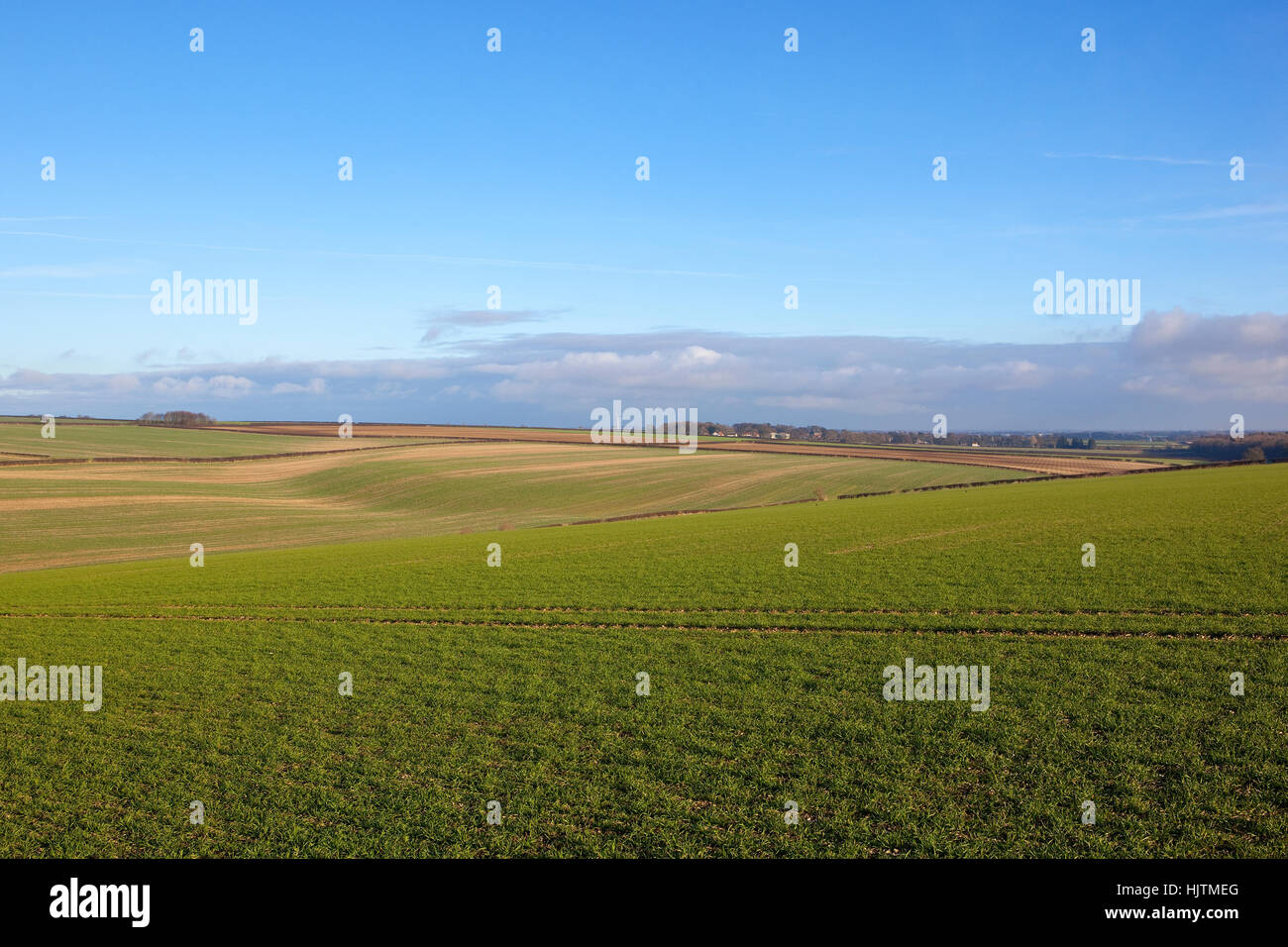 Hügellandschaft mit Weizenfeldern wind Turbinen und Stroh Stoppeln in Yorkshire Wolds Landschaft bei blau bewölktem Himmel im winter Stockfoto
