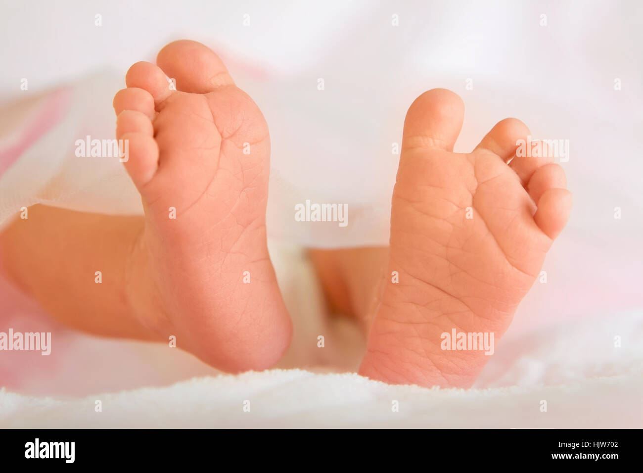 Süß und weich Baby Füße Nahaufnahme Stockfoto