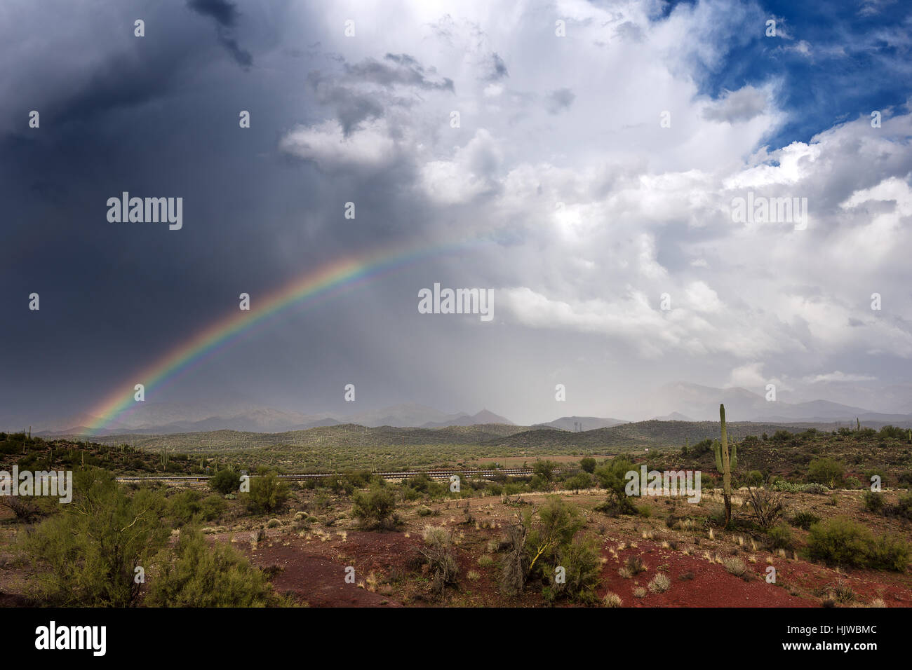 Strahlender Regenbogen in der Sonoran-Wüste nach einem Sturm in der Nähe von Superior, Arizona Stockfoto
