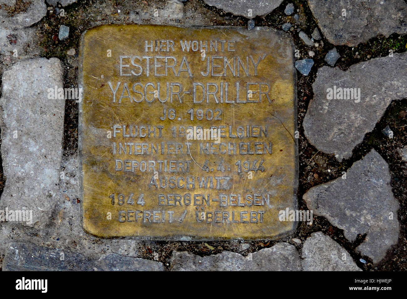 Stolperstein auf den Straßen Berlins. Namen von Menschen, die in den nahe gelegenen Gebäuden lebten, die von den Nazis übernommen wurden Stockfoto