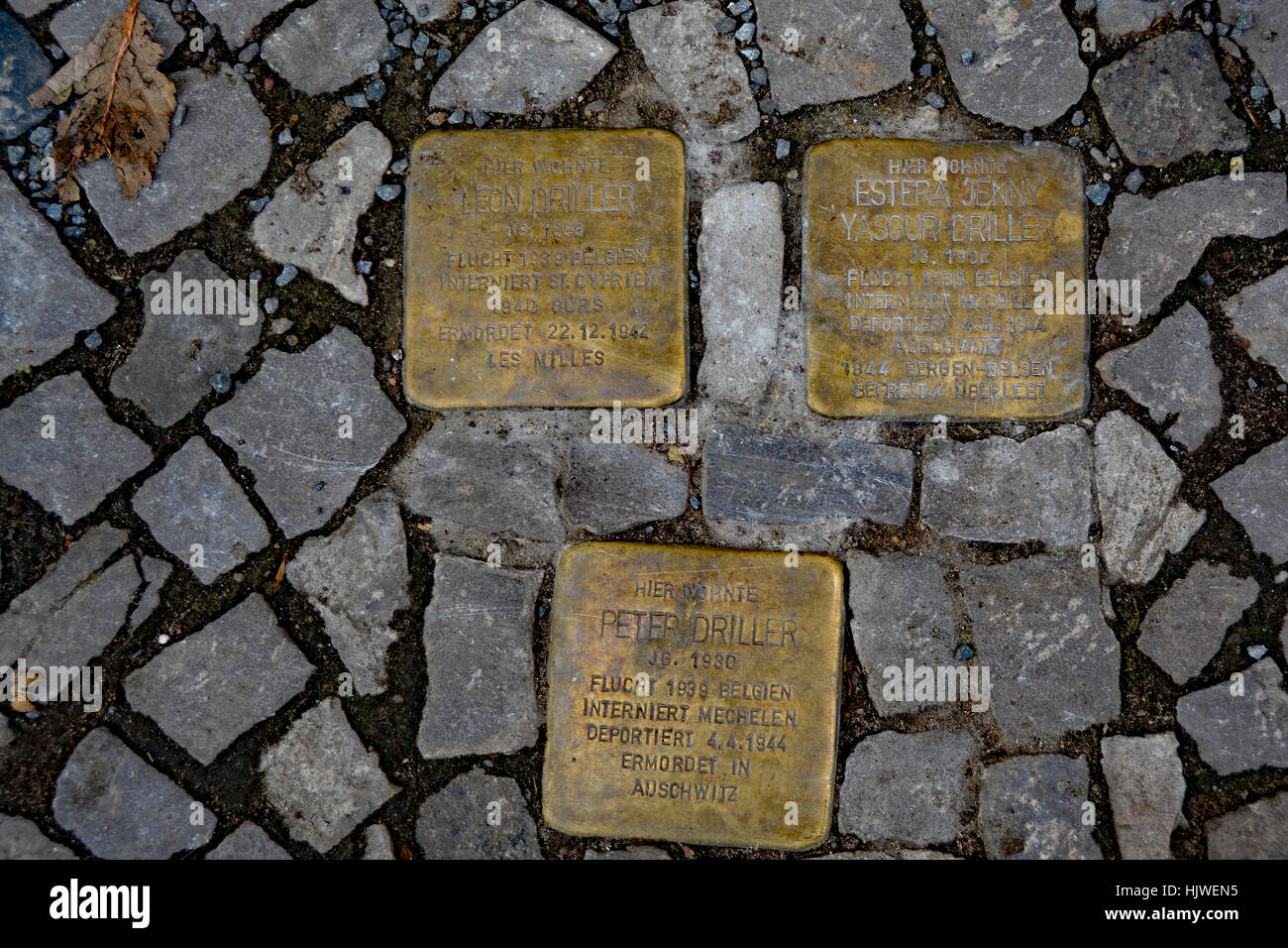 Stolperstein auf den Straßen Berlins zum Gedenken an Angehörige der Familie Driller, die von den Nazis eingenommen wurden Stockfoto